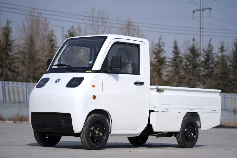 Mini veicoli elettrici di trasporto personale